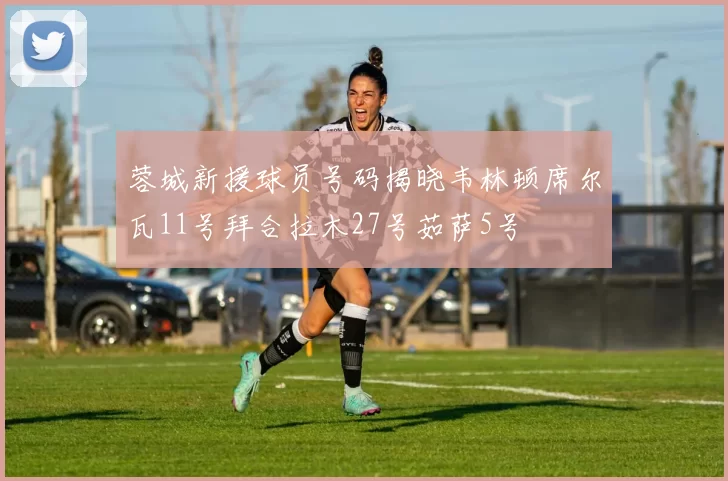蓉城新援球员号码揭晓韦林顿席尔瓦11号拜合拉木27号茹萨5号